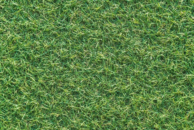 empty grass background