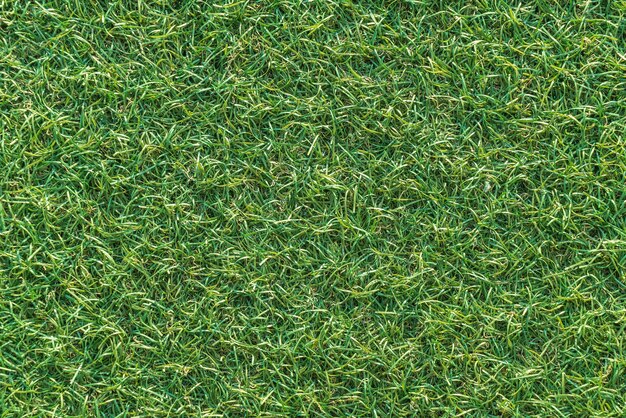 empty grass background