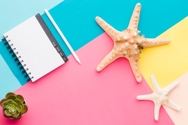 Empty notebook and starfish on multicolored surface