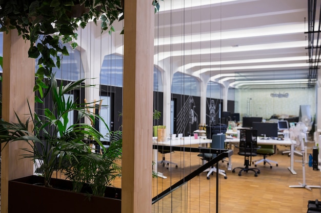 Empty office with pot plant