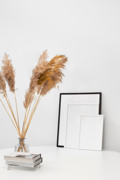 Empty photo frames and decorative plant