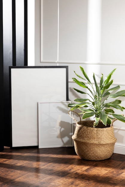 Empty photo frames and plant arrangement