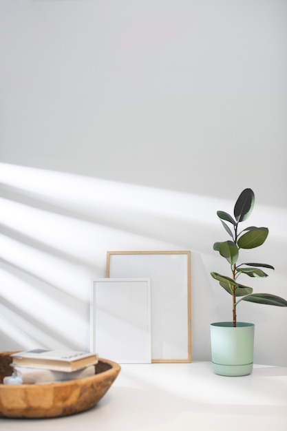 Empty photo frames and plant interior design