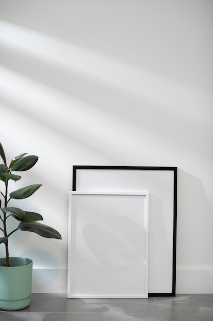 Empty photo frames and plant