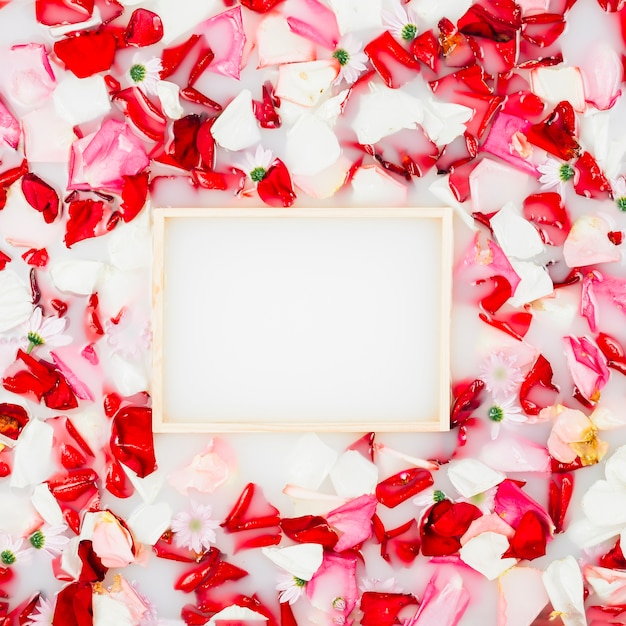 Empty picture frame surrounded with colorful flower petals