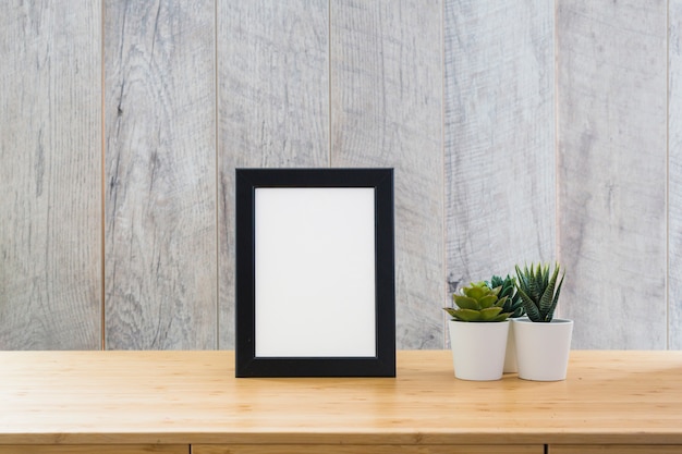 An empty picture frame with cactus plants in pot