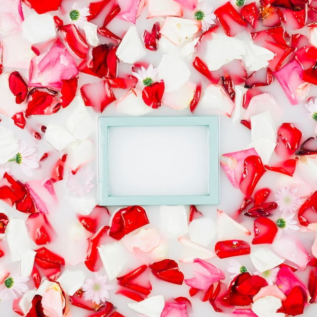 Free photo empty picture frame with flower petals floating on water