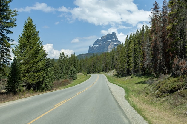 Empty road in the middle of a forest with the Castle Mountain in Alberta, Canada