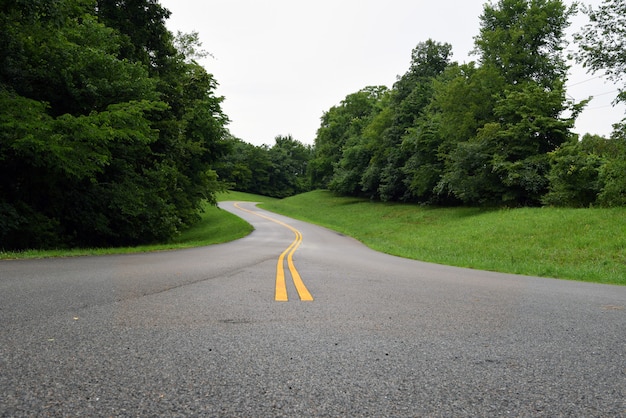 Empty road in the middle of grassy fields with green trees under a cloudy sky