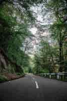 Free photo empty road and trees