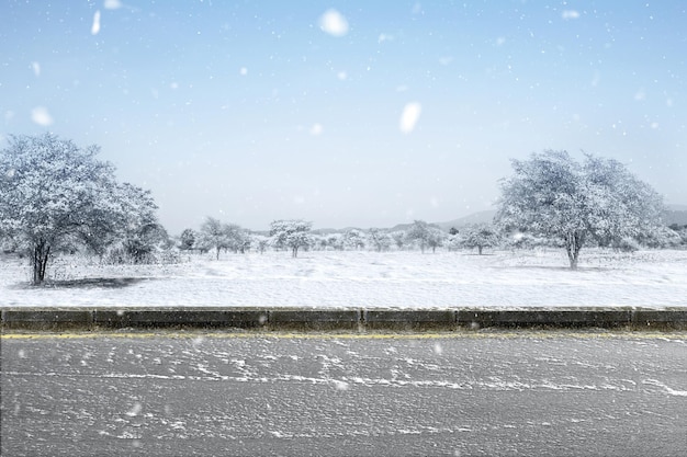 Пустая дорога с заснеженными деревьями и фоном снегопада