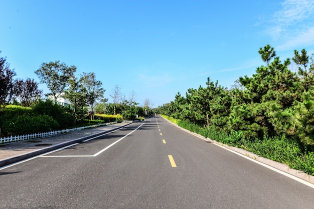 Empty road with vegetation