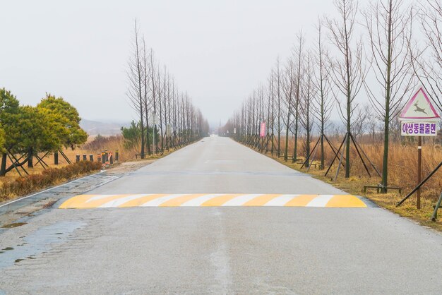 empty road