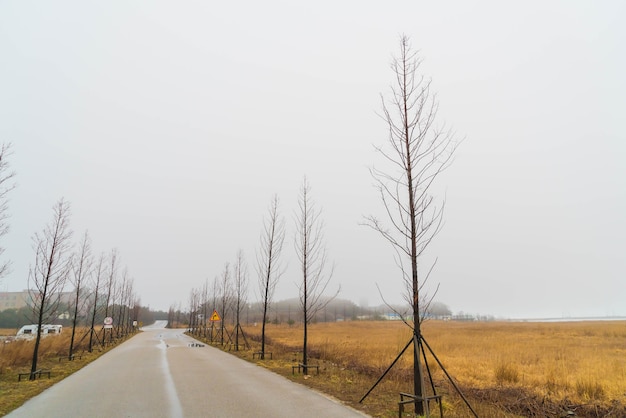 Foto gratuita strada vuota