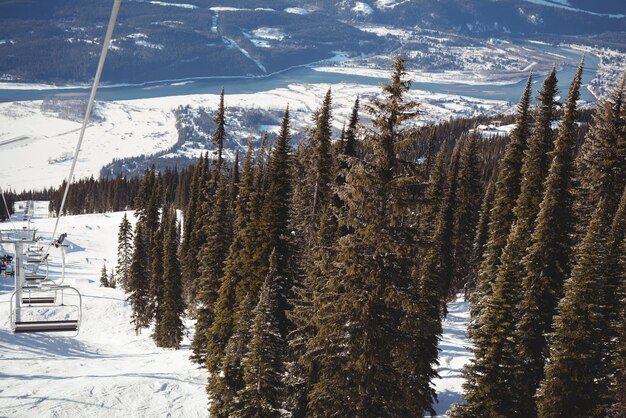 スキーリゾートの空のスキーリフトと松の木