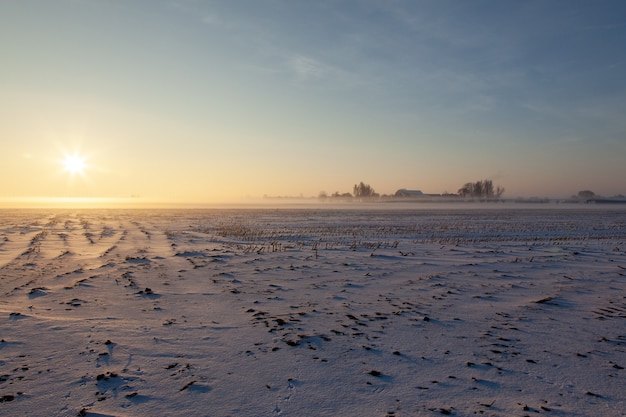 Empty snowy field with mist under a blue sky