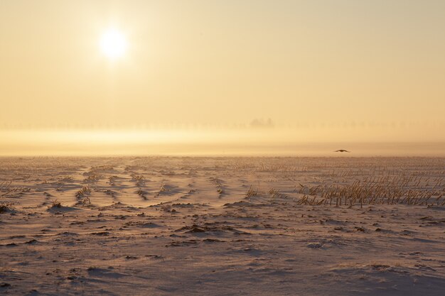 Пустое снежное поле с туманом