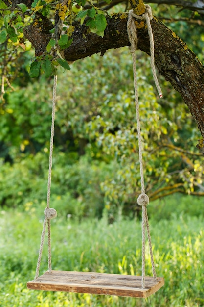 Free photo empty swing in the park