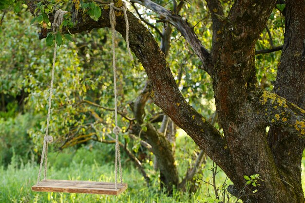 Empty swing in the park