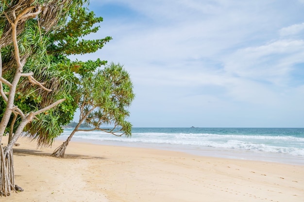 빈 열 대 여름 해변 배경 푸른 하늘과 하얀 모래 해변 녹색 나무 잎 프레임 모래 해안에 부서 지는 파도 태국 푸 켓에서 놀라운 해변입니다.