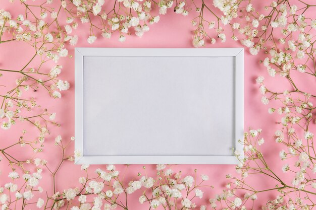 분홍색 배경에 흰색 아기의 숨결 꽃으로 둘러싸인 빈 흰색 빈 프레임