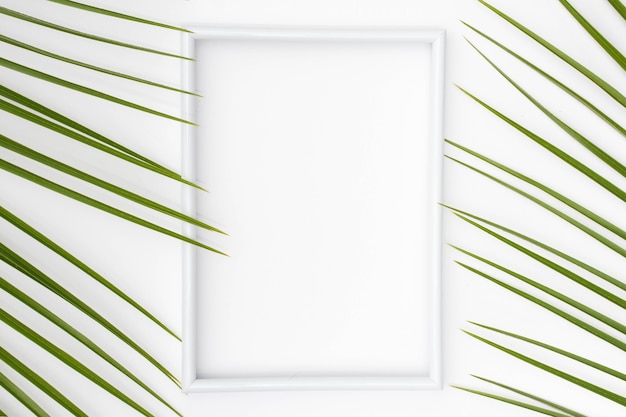 Empty white picture frame with palm leaves on plain surface