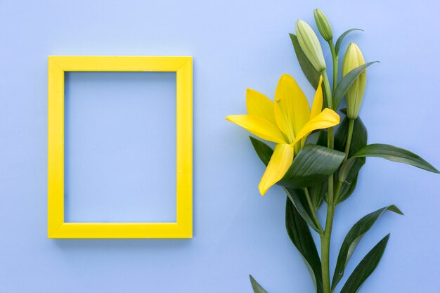 Empty yellow photo frame with lily flowers on blue surface