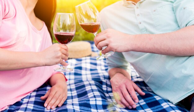 Enamored couple lying on blue checkered plaid and toasting wineglasses