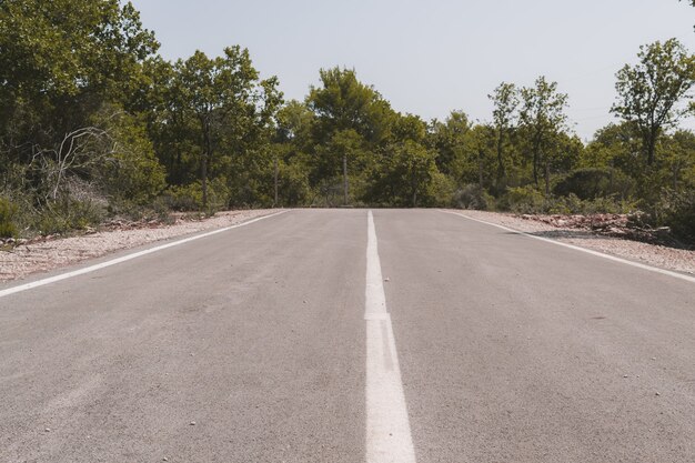 緑と木々に囲まれたアスファルト道路の終わり