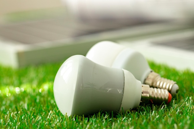 Energy efficient light bulb lying on grass