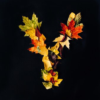 가을로 만든 영어 알파벳은 검정색 배경에 디자인을 위한 자연 색상 글꼴을 남깁니다.