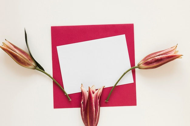 Free photo envelope and paper with royal lilies top view