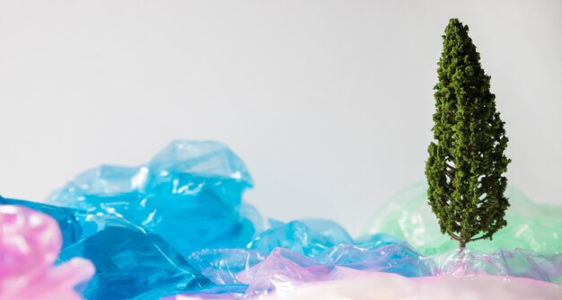 environment education day concept