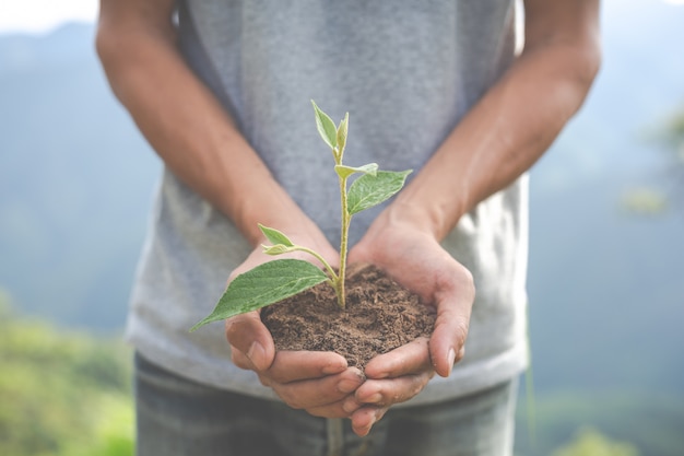 environmental conservation in the garden for children.