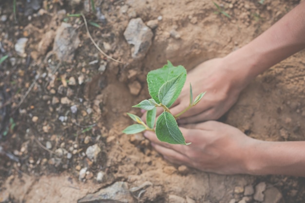 Free photo environmental conservation in the garden for children.