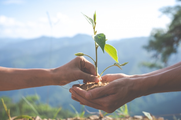 Free photo environmental conservation in the garden for children.