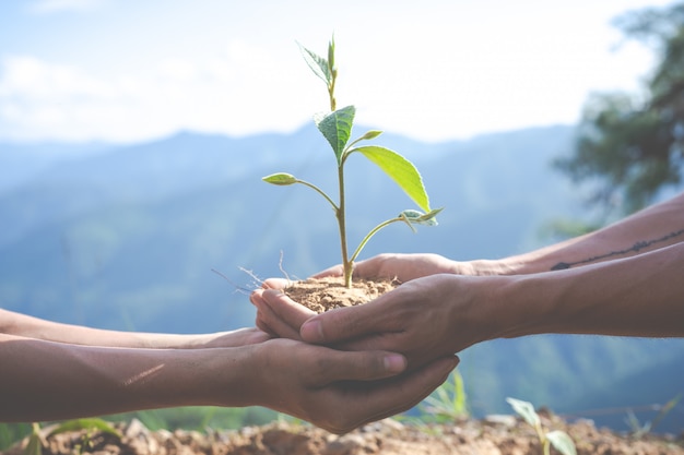 Environmental conservation in the garden for children.