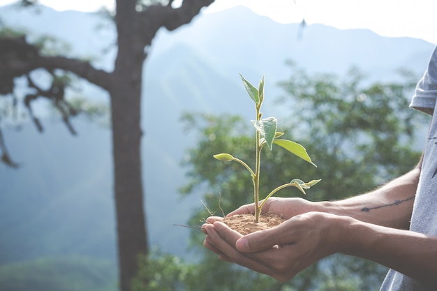 environmental conservation in the garden for children.