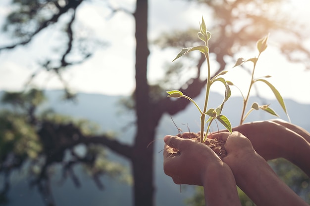 Free photo environmental conservation in the garden for children.