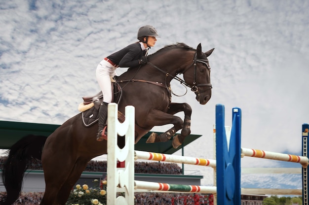 Equestrian sport Young girl rides on horse on championship