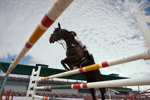 Бесплатное фото Конный спорт молодая девушка едет на лошади на чемпионате