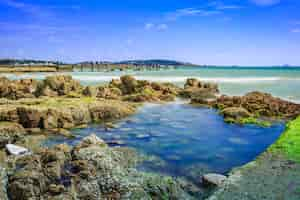 Foto gratuita attrezzature grand reef alberi di spiaggia rossa