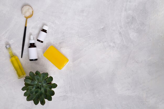 Essential oil bottles; cotton; yellow soap and cactus plant on concrete backdrop for writing the text