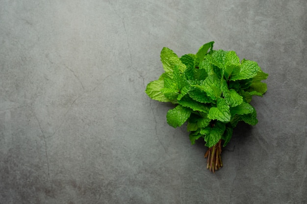 Essential oil of peppermint in bottle with fresh green peppermint