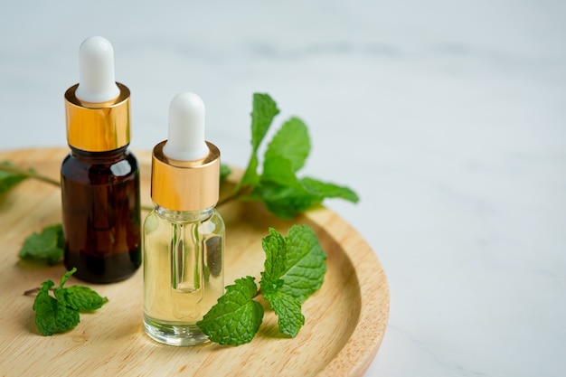 Essential oil of peppermint in bottle with fresh green peppermint