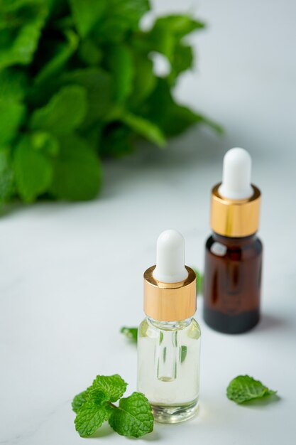 Essential oil of peppermint in bottle with fresh green peppermint