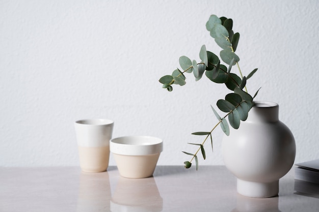 Eucalyptus in white vase background