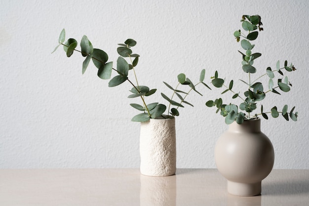 Eucalyptus in white vase on table background