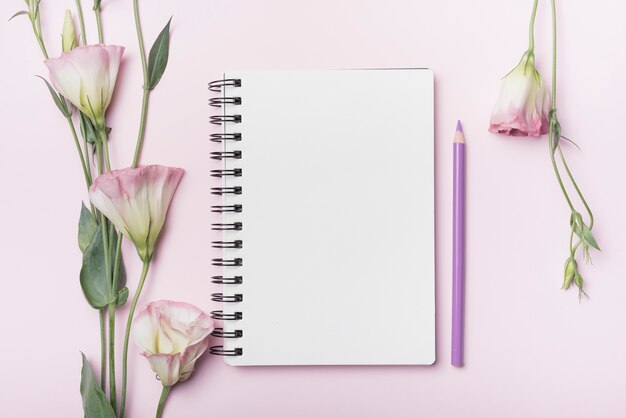 Цветы Эустомы; пустой спиральный ноутбук с фиолетовым карандашом на розовом фоне