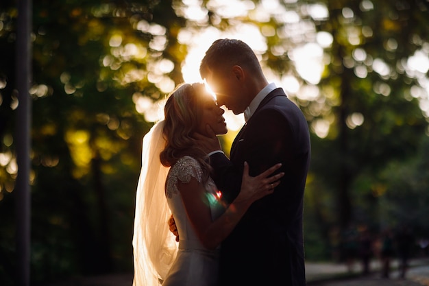 夕方の太陽は美しい結婚式のカップルの周りにハローを作る